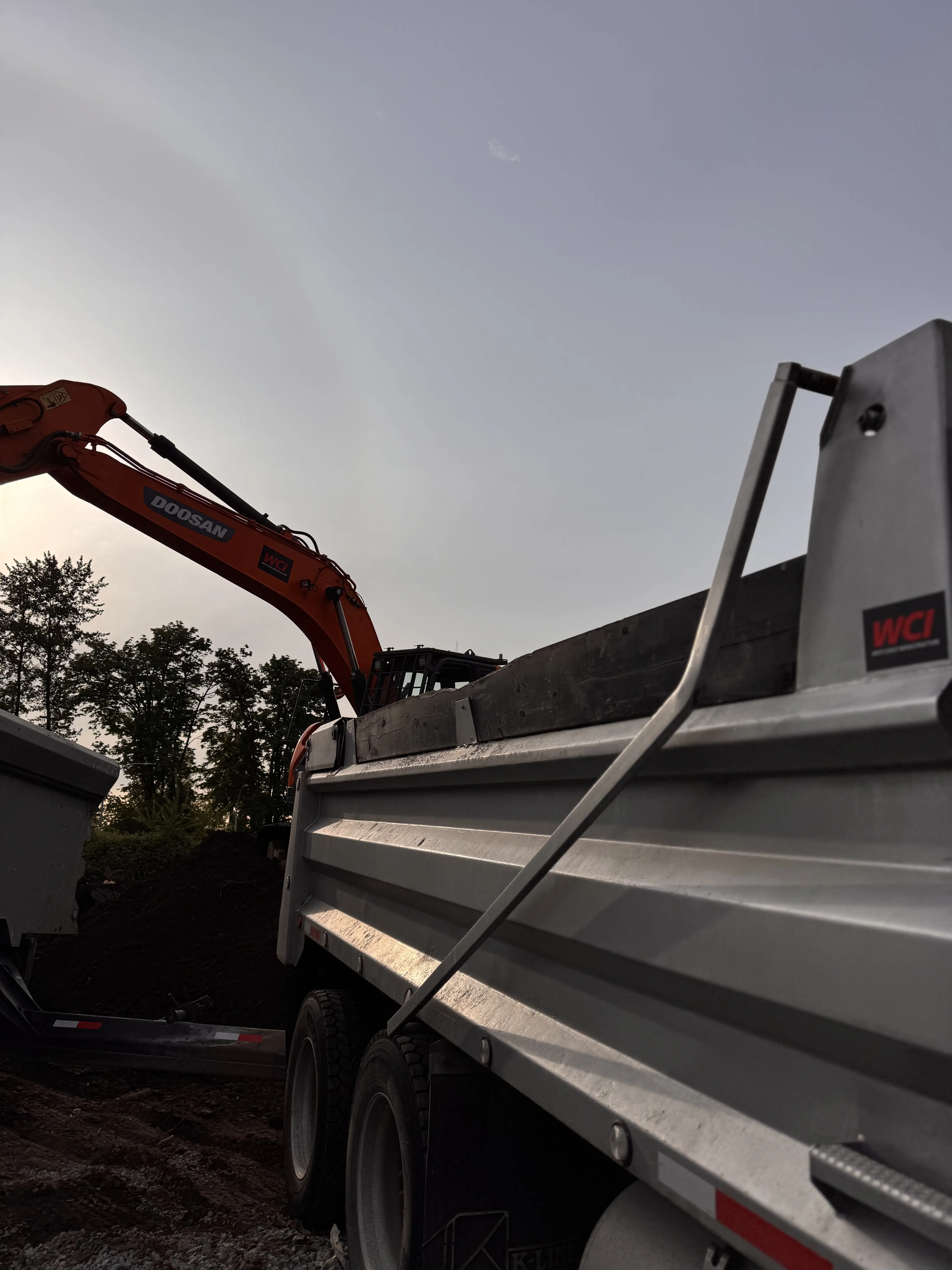 Fleet of dump trucks ready for hauling aggregates and spoils.